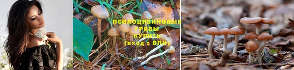мескалин Белоозёрский
