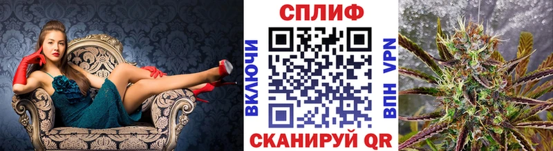 Бошки марихуана марихуана  Купить где  Павловск 